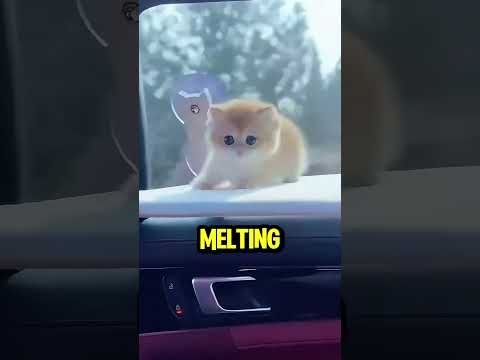 This Dad got the Cutest cat 🐱🥹