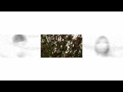 3 Seconds