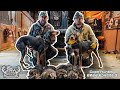 Coon Hunting 2022 Episode 3 Black and Tan Coonhounds featuring Chad McCoin and Brad Hile