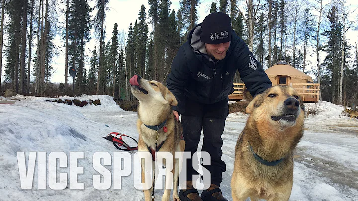 Meet Iditarod-Winning Sled Dogs