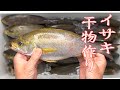 【新鮮イサキは干物に限る！！】2022 5 16共栄丸春イサキ料理