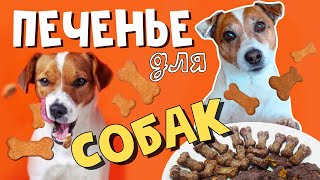 Готовим ПЕЧЕНЬЕ ДЛЯ СОБАК своими руками/Два рецепта вкусного мясного и печёночного печенья для собак