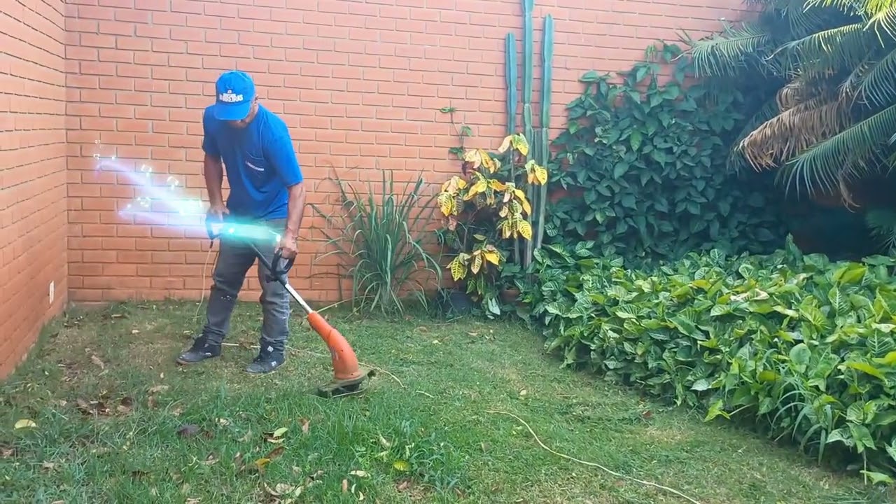 Um pouco de nossa rotina, dando geral nesse lindo ambiente verde 