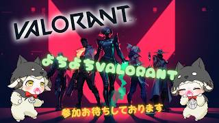 【VALORANT】少しまったりやってく(*´∀｀*)