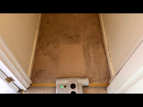 Dirty carpet mega compilation!