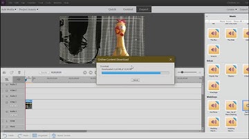 Adobe Premiere Elements 2020 Stock Music