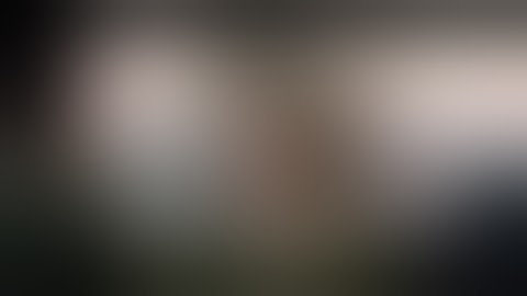 Đứa Con Của Rồng Full HD Thuyết Minh