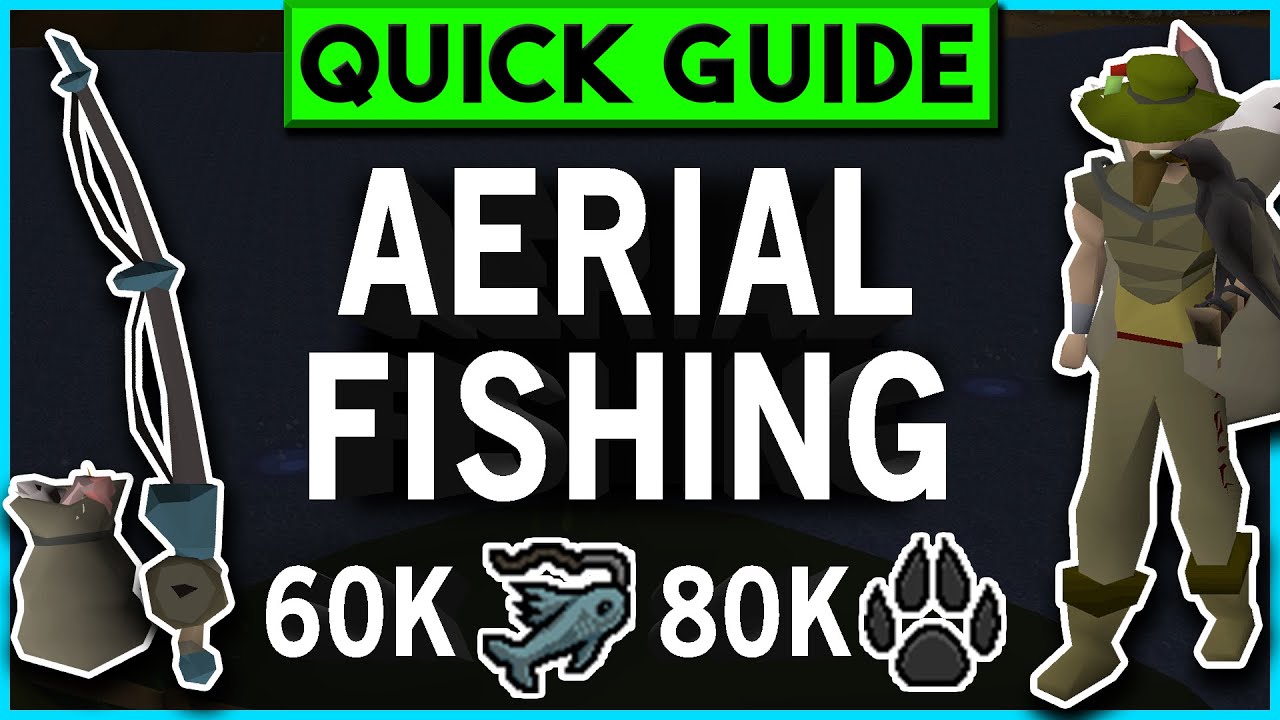 OSRS Aerial Fishing Guide - 60K + 80K Fish/Hunter XP/H! - Quick Guide  [2022] 