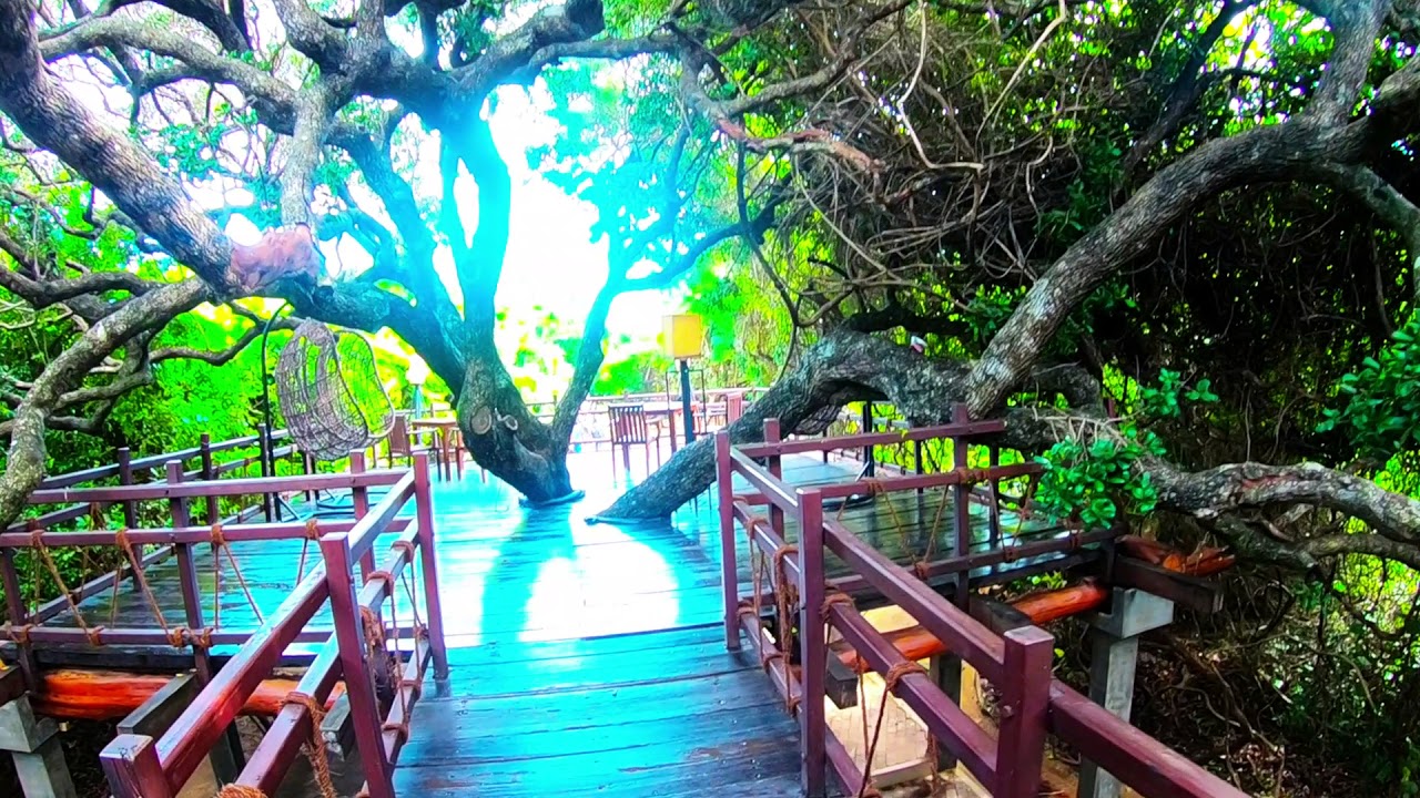 Jungle Beach Hotel Trincomalee You Jungle Beach Hotel Trincomalee