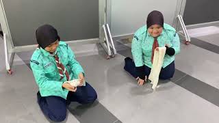 BANTU MULA PANDU PUTERI TUNAS BANTU MULA PANDU PUTERI TUNAS