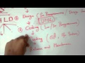SDLC