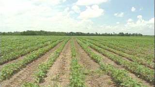 GOOD WEATHER ACROSS THE U-S WITH A LITTLE BIT OF DROUGHT