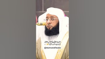 تلاوه حجازيه رائعه للشيخ بدر التركي من صلاة التراويح #قرآن #قران_كريم