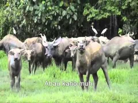 BENJAMIN MATANJANG - MOGIUM KALABAU
