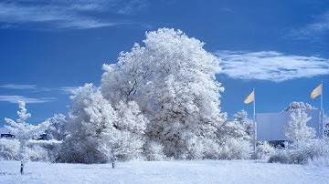 Simple Infrared 720nm,  590nm image processing with FastStone. We also sell IR converted cameras