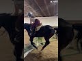 One of my first lines!! #viral #horse #equestrian #pony #summer #fun #fypシ #slay #bond #tuff