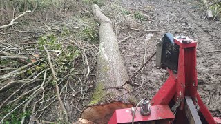 Je Reprends Le Débardage De Grume De Frêne