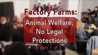 Animal Welfare on Factory Farms - No Legal Protections