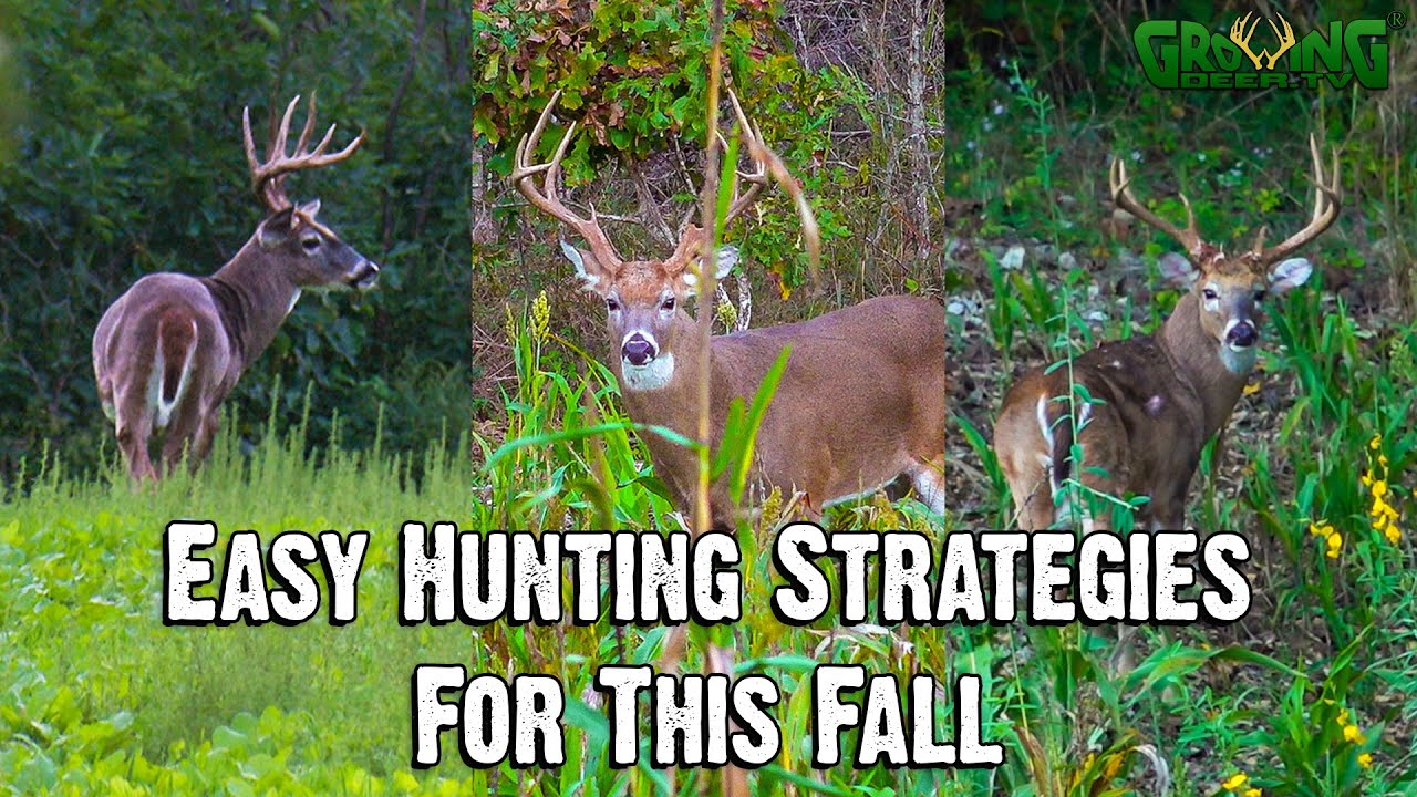 Dr. Grant Woods’ Easy Strategies for This Fall | Seminar