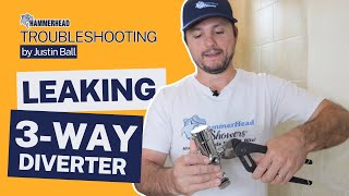 Troubleshooting Fixing a Leaking 3-Way Diverter for HammerHead Showers