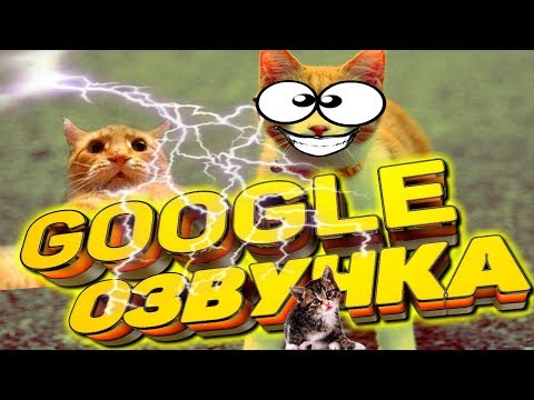 СМЕШНАЯ GOOGLE ОЗВУЧКА. ЖИВОТНЫЕ. Я ПЛАКАЛ ОТ СМЕХА. ВИДЕО ПРИКОЛ. ГОВОРЯЩИЕ КОТЫ. УГАРНАЯ ОЗВУЧКА 4