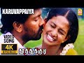 Karuvappaiya  4k song     thoothukudi  harikumar  karthika  pravin mani