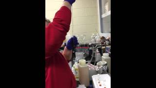 Abilene Environmental Lab