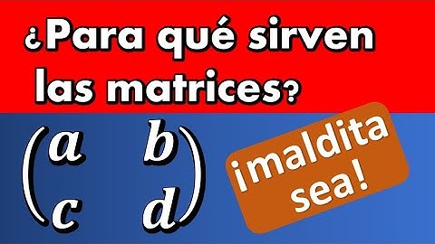 PARA QUÉ SIRVEN LAS MATRICES