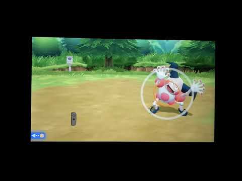 第１３回　ポケットモンスターLet'sGO!　イーブイ　シロンがプレイ！