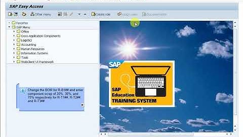 SAP PP MODULE Advanced routing fuctions,using scrap in the routing ,demonstration how to set coponen
