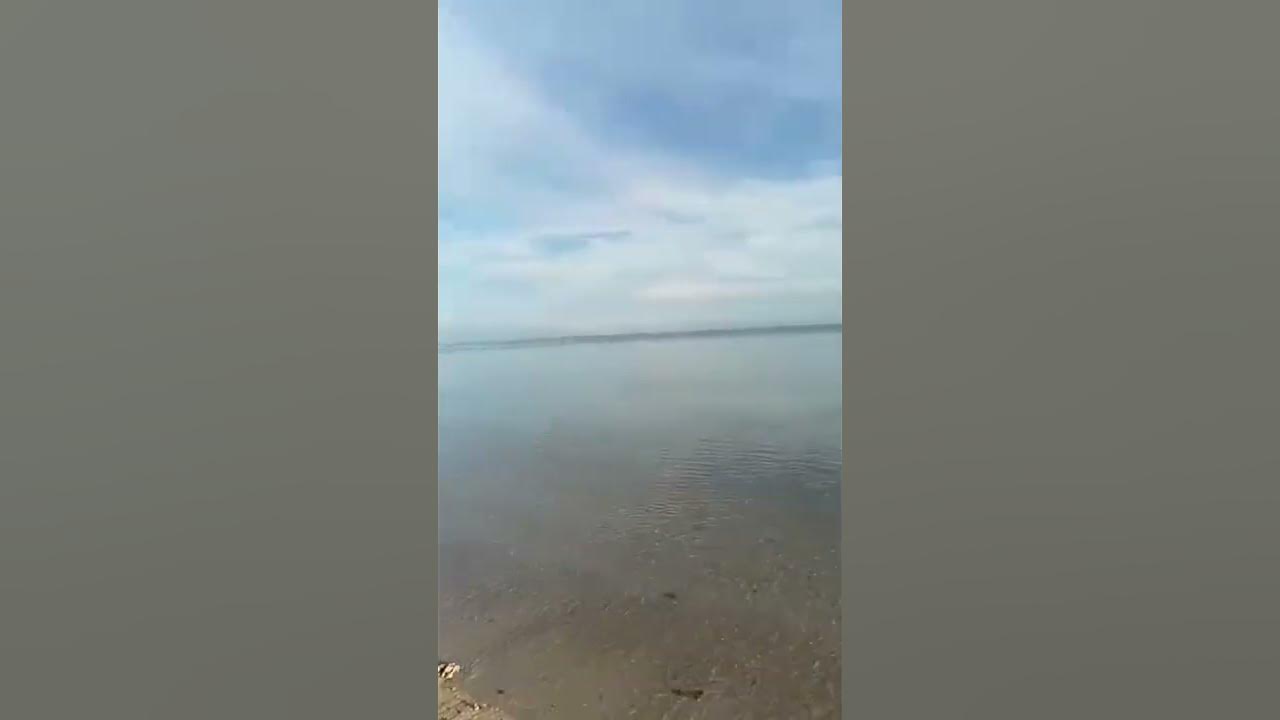 Сямозеро цвет воды коричневый почему