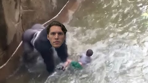 Jerma Plays a Monkey Video