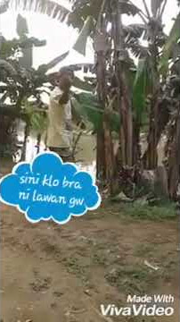 Video kocak bojul