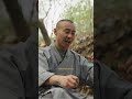 La felicità per un vero monaco shaolin #shorts
