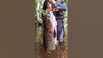 تلاوات خاشعة من القرآن الكريم سورة الأعراف #اكسبلور