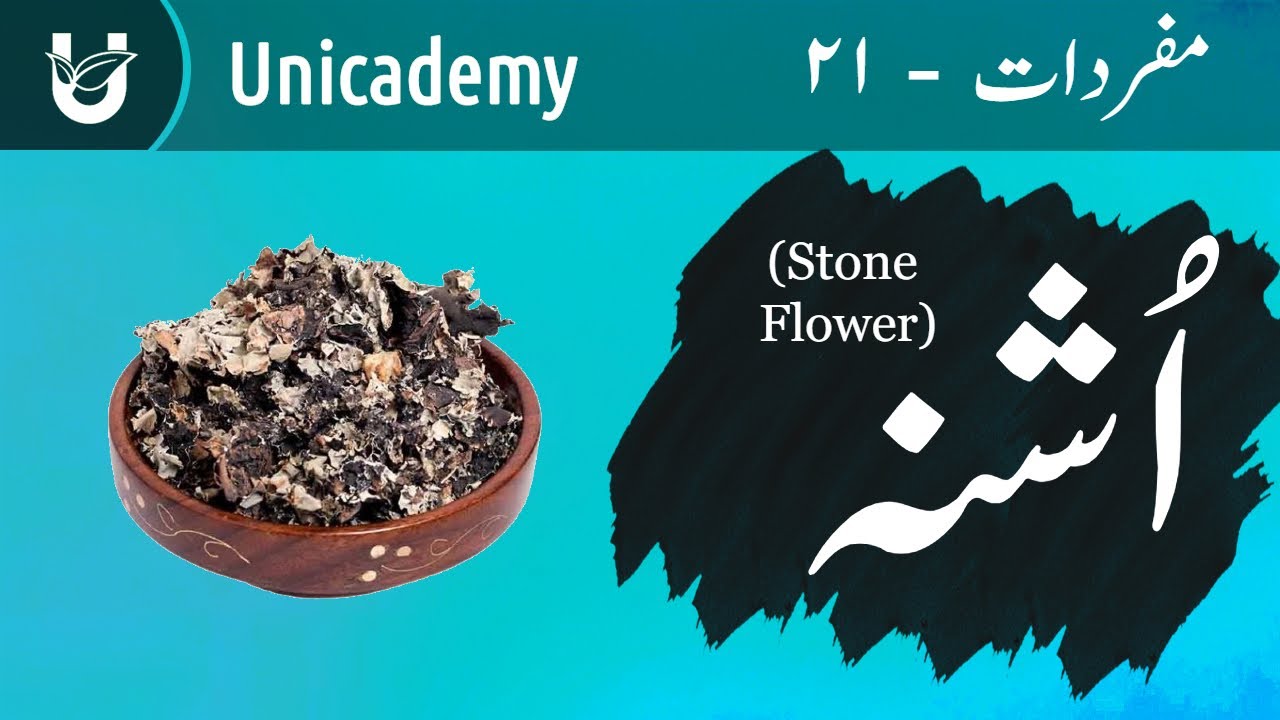 Ushna / Chhadela (Stone Flower) | اُشنہ
