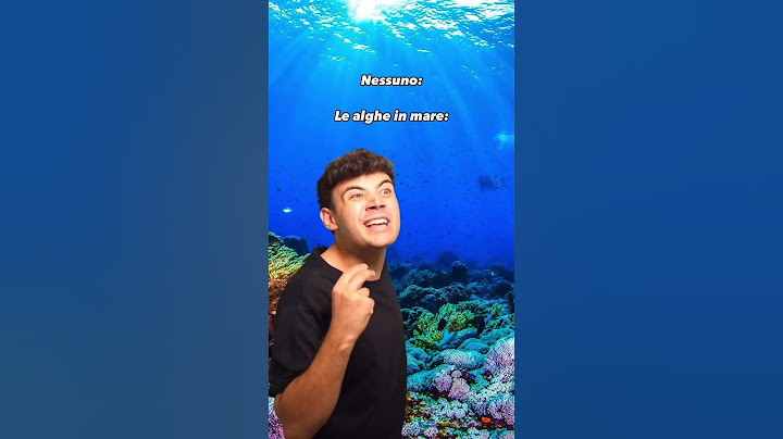 SE LE ALGHE in MARE POTESSERO PARLARE - Gabriele Vagnato