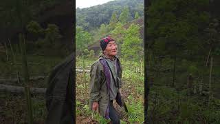 pure Indian this side... #agriculture #nature #triballife #organicSoul #Arunachal Pradesh