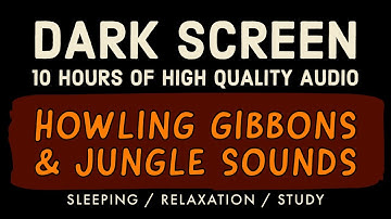 Fall Asleep to Gibbons Howling & Jungle Sounds | 10 Hours Dark Screen | Sleeping Study Relax