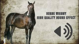 Horse Whinny Sound Effects - High Quality