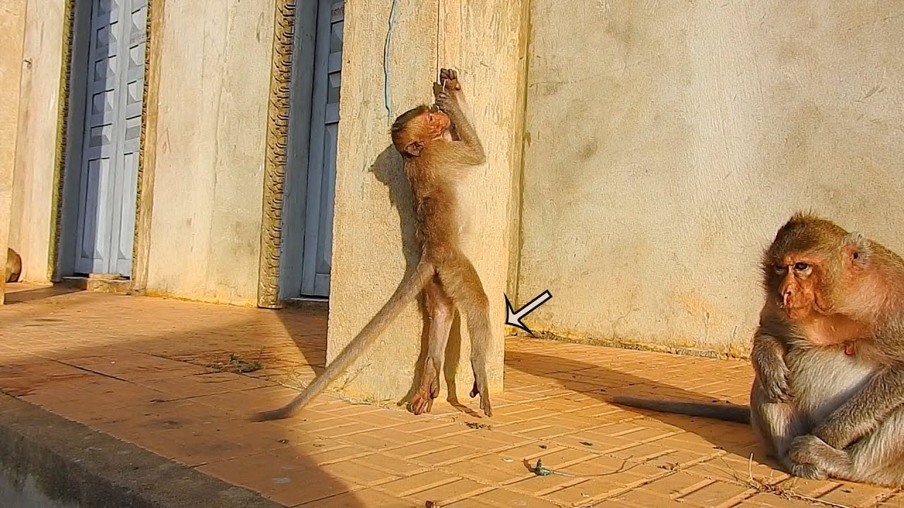Smart baby Emily trying to make herself by doing exercise- Emily playing around her mommy happily