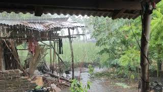 heavy rain in the backyard of an Indonesian village house, nice to start sleeping in the afternoon