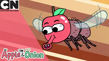 Apple & Onion | Think Like A Fly | Cartoon Network UK 🇬🇧