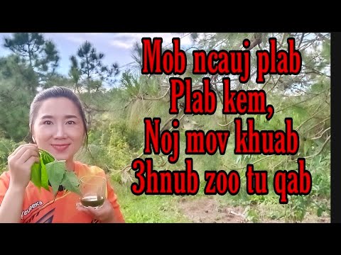 Video: Cov Menyuam Mos Noj Zaub Mov: Zoo Tshaj Plaws Lub Ntsej Muag Nourish Rau Lub Caij Nplooj Zeeg