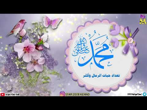 أجمل نشيد صلى عليك الله ياخير الورى