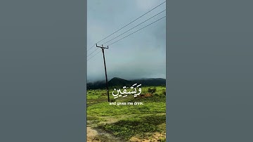 تلاوة تفوق الوصف بصوت تخشع له القلوب قران_كريم #elmulquranعلم #قران_كريم #اكسبلور #المصحف