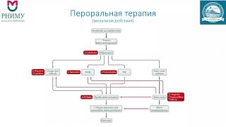 Юсуфов Анвар - Болезнь Пейрони. Клиническая тактика