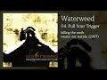 Waterweed - Pull Your Trigger