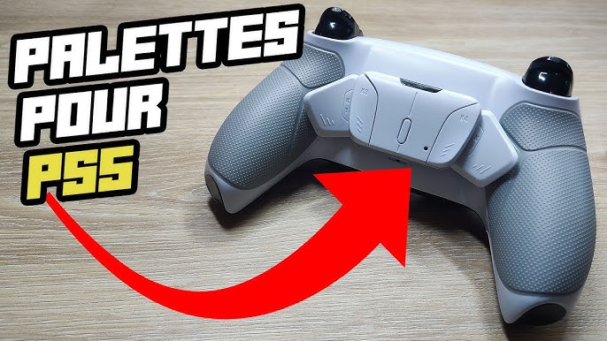 eXtremeRate Bouton Palette K1 K2 pour ps5 Manette, Pas Un Remap Kit  Complet, Bouton Palette pour ps5 Manette Rise Remap Kit, Boutons Palette  Blanc Pur : : Jeux vidéo