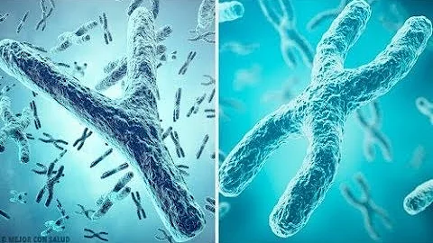 Chi ha il cromosoma X?
